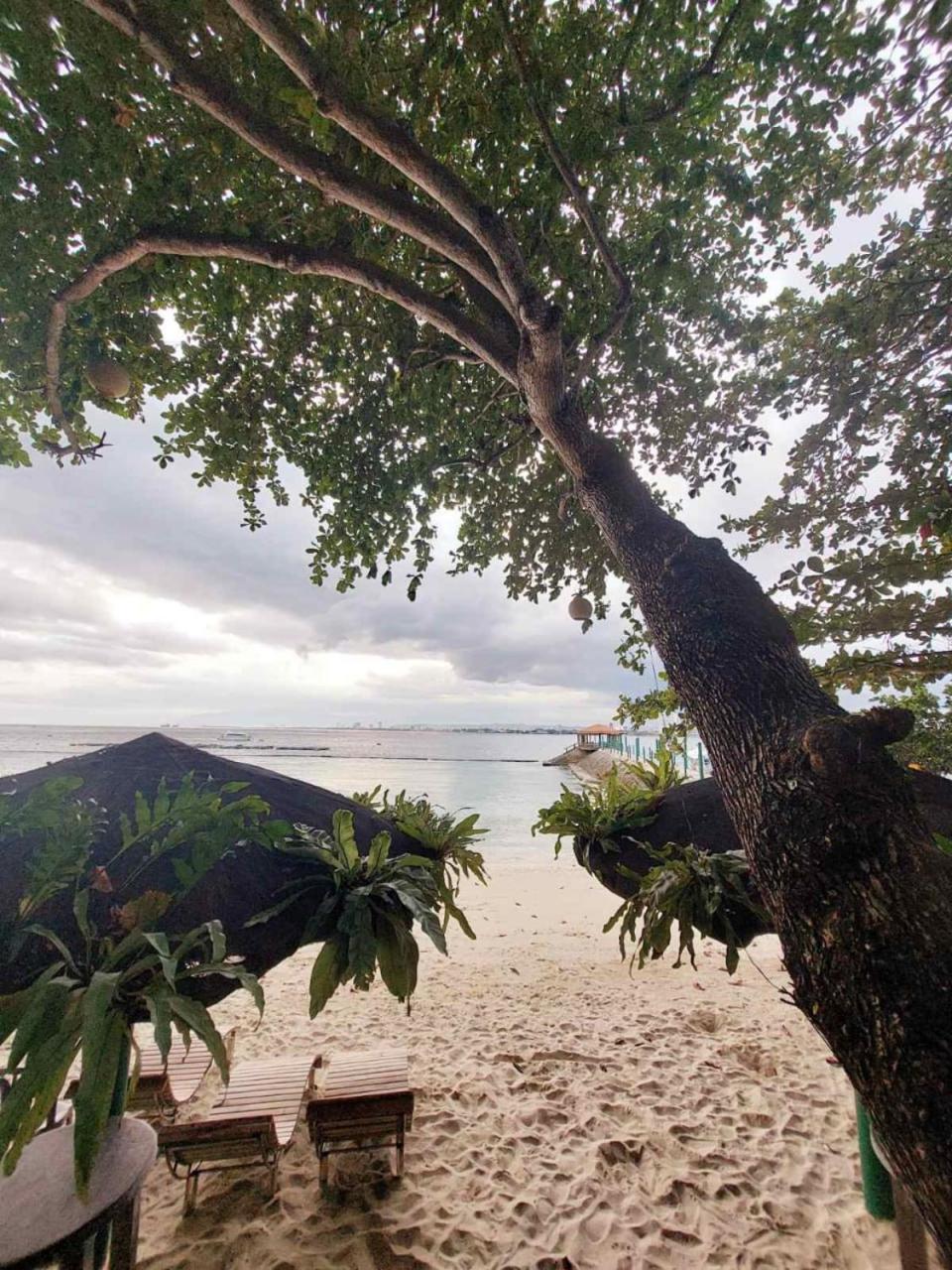 Chema'S By The Sea Hotel Samal Exterior photo